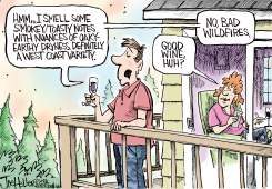 COUPLE MISTAKES WILDFIRE SMOKE FOR WINE by Joe Heller