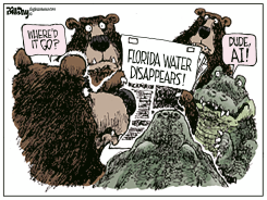 BEARS BLAME AI FOR FLORIDA WATER LOSS by Bill Day