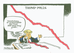 TRUMP BLAMES VANDALISM FOR POLL DROP by Jimmy Margulies