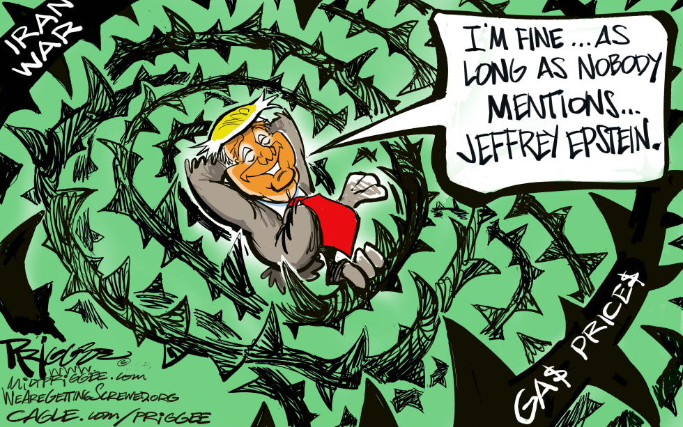 Trump Avoids Epstein Talk Amid Iran War and Rising Gas Prices