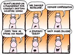 TRUMP STUPIDITY TARIFF ON CANADA SMOKE by Ingrid Rice