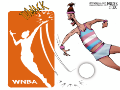 MAN STRIKES WNBA PANEL by Margolis & Cox