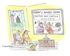 WNBA GAME CAUTIONED FOR VIOLENCE by Harley Schwadron