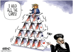 TRUMP ON HOUSE OF CARDS IRAN PULLS ACE by Dave Whamond