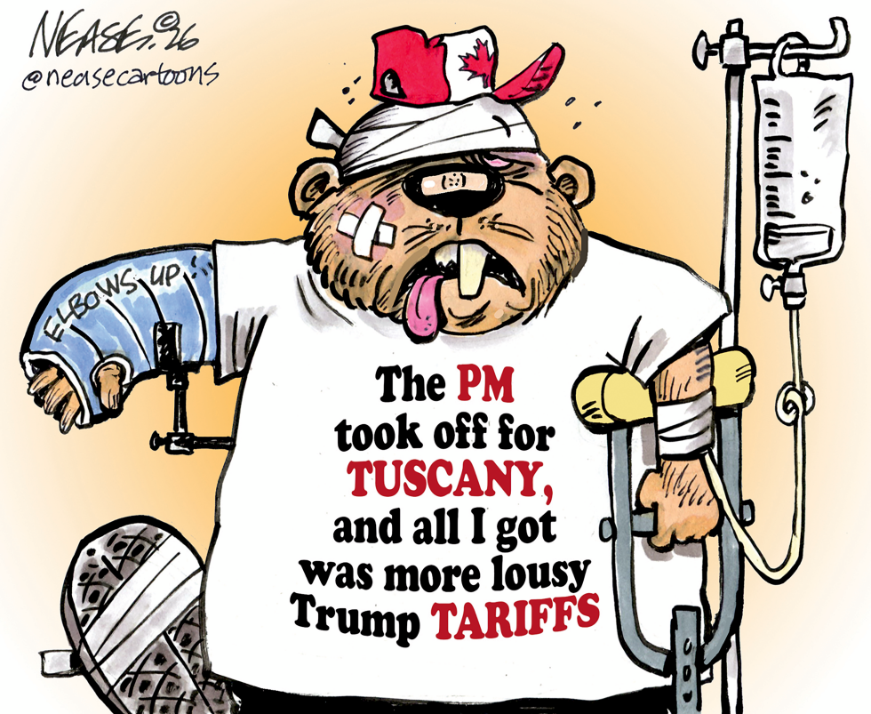 Injured Canadian Bear Blames Trump Tariffs While PM Vacations