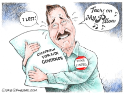 LINDELL LOSES MN GOVERNOR BID by Dave Granlund
