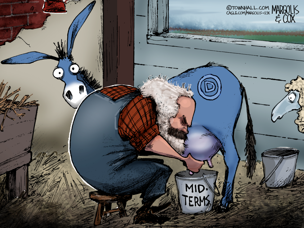Marxist Ideas Shape Democratic Midterm Push