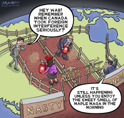 MAPLE MAGA SPRAY HITS CANADIAN PROVINCES by Graeme MacKay