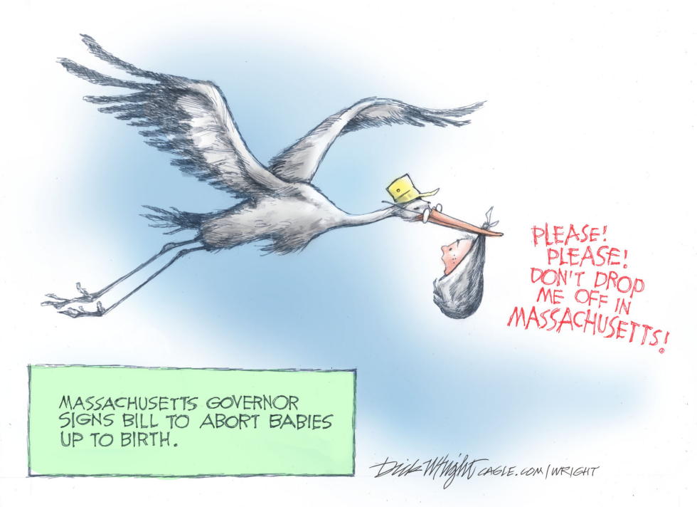 Stork pleads against delivery in Massachusetts after governor signs late-term abortion bill