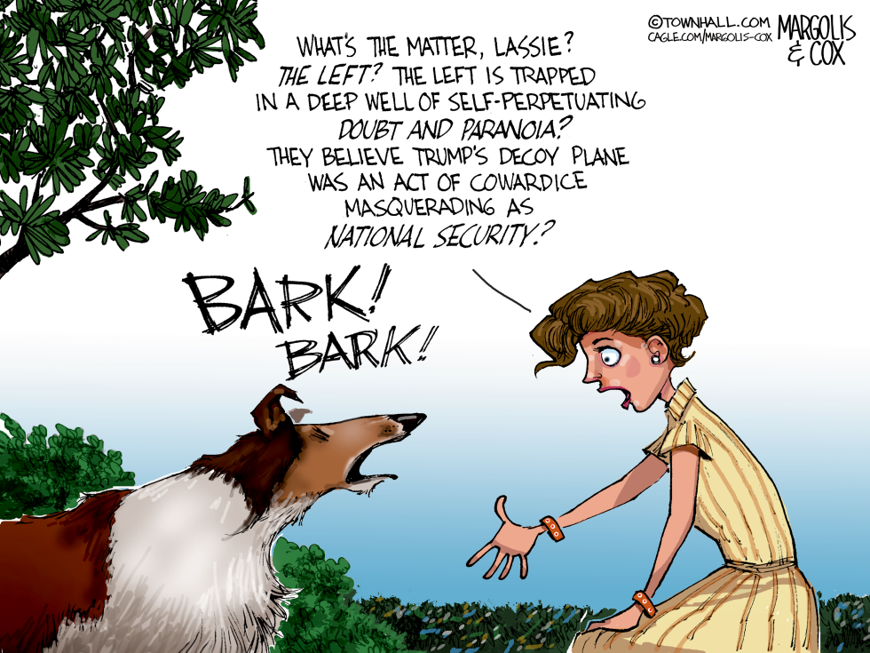 Lassie Exposes Left's Trump Paranoia Over Decoy Plane