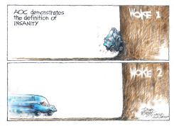 AOC CRASHING INTO SUCCESSIVE WOKE WALLS by Dick Wright