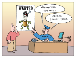 POLICE LINK CIGARETTE TO FOREST FIRES by Arend van Dam