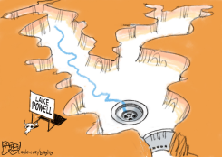 LAKE POWELL FLOWS INTO DRAIN by Pat Bagley