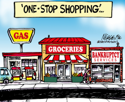 ONE-STOP SHOPPING GAS GROCERIES BANKRUPTCY by Steve Nease
