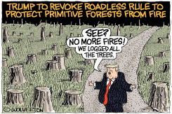 TRUMP REVOKES ROADLESS RULE ON FORESTS by Monte Wolverton