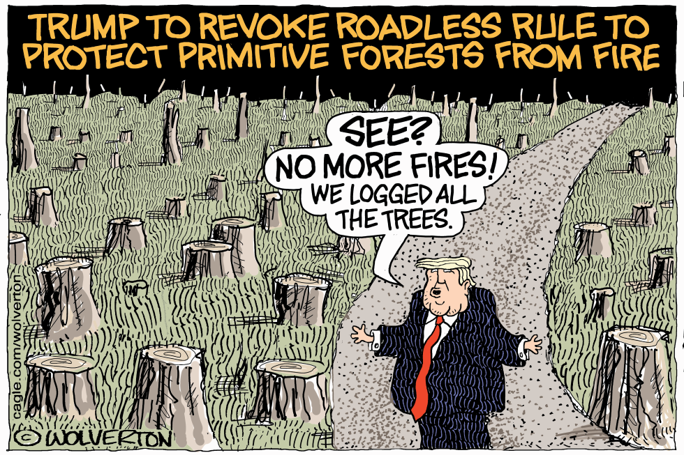 Trump Revokes Roadless Rule, Claims Logging Stops Forest Fires