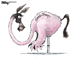 FLORIDA PRIMARY DONKEY FLAMINGO HYBRID by Bill Day