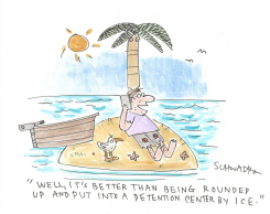 DESERT ISLAND MAN AVOIDS ICE DETENTION by Harley Schwadron