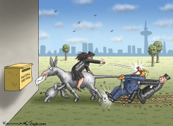 INDIRA TALWANI DRAGS SUPREME COURT ON POSTAL VOTING by Marian Kamensky