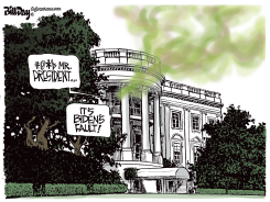 BIDEN'S FAULT AT THE WHITE HOUSE by Bill Day