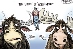 BULL AND MOOSE TRADE WAR by Joe Heller