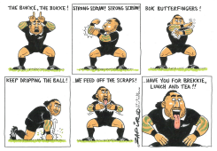 BOKKE RUGBY FAILURES COMIC STRIP by Zapiro