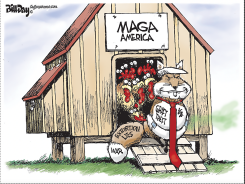 THE MAGA TRUMP FOX GUARDS THE HENHOUSE by Bill Day