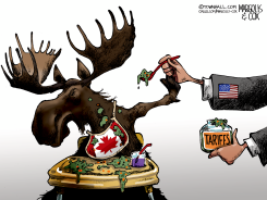 US TARIFFS FED TO CANADA by Margolis & Cox