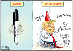 TRUMP AS NOT-SO-SHARPIE DUNCE by Christopher Weyant
