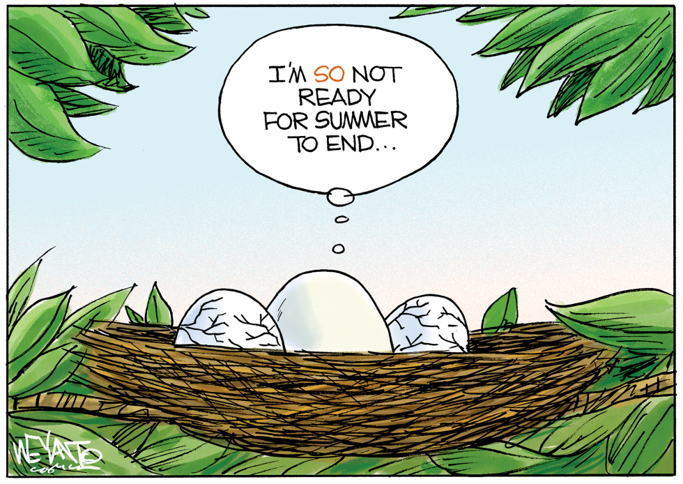 Eggs Voice Reluctance as Summer Nears Its Close