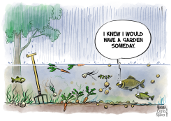 FISH CLAIMS GARDEN IN FLOOD by Gatis Sluka