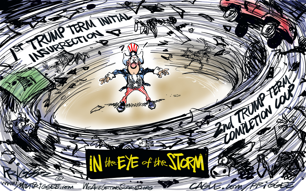 America in the Eye of the Trump Storm