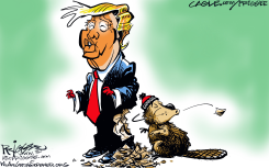 TRUMP VS CANADA by Milt Priggee