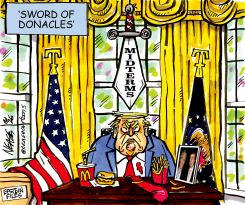 TRUMP SWORD OF DONACLES MIDTERMS EPSTEIN FILES by Steve Nease