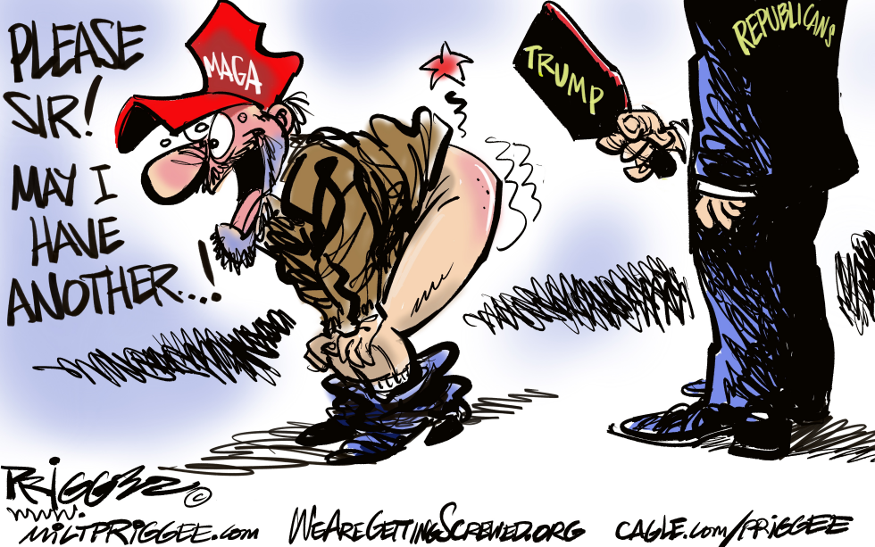 MAGA Supporter Spanked by Republicans
