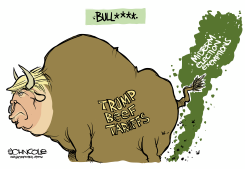 TRUMP BULL TARIFFS MIDTERM EXEMPTIONS by John Cole