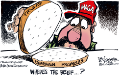 TRUMP CAMPAIGN PROMISES OFFER NO SUBSTANCE by Milt Priggee