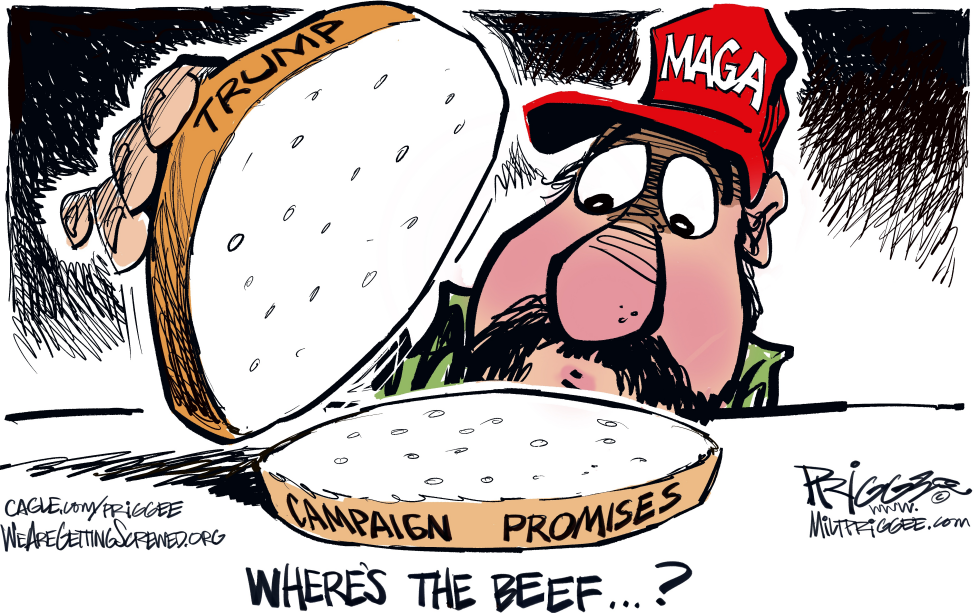 Trump Campaign Promises Offer No Substance