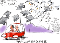 GULLS TARGET UTAH SOLAR PANELS by Pat Bagley