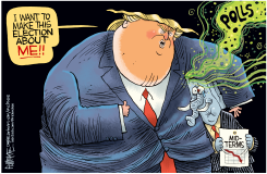 TRUMP MIDTERM POLLS STINK by Rick McKee
