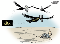 FLOCK CAMERAS AND CIVIL LIBERTIES by John Cole