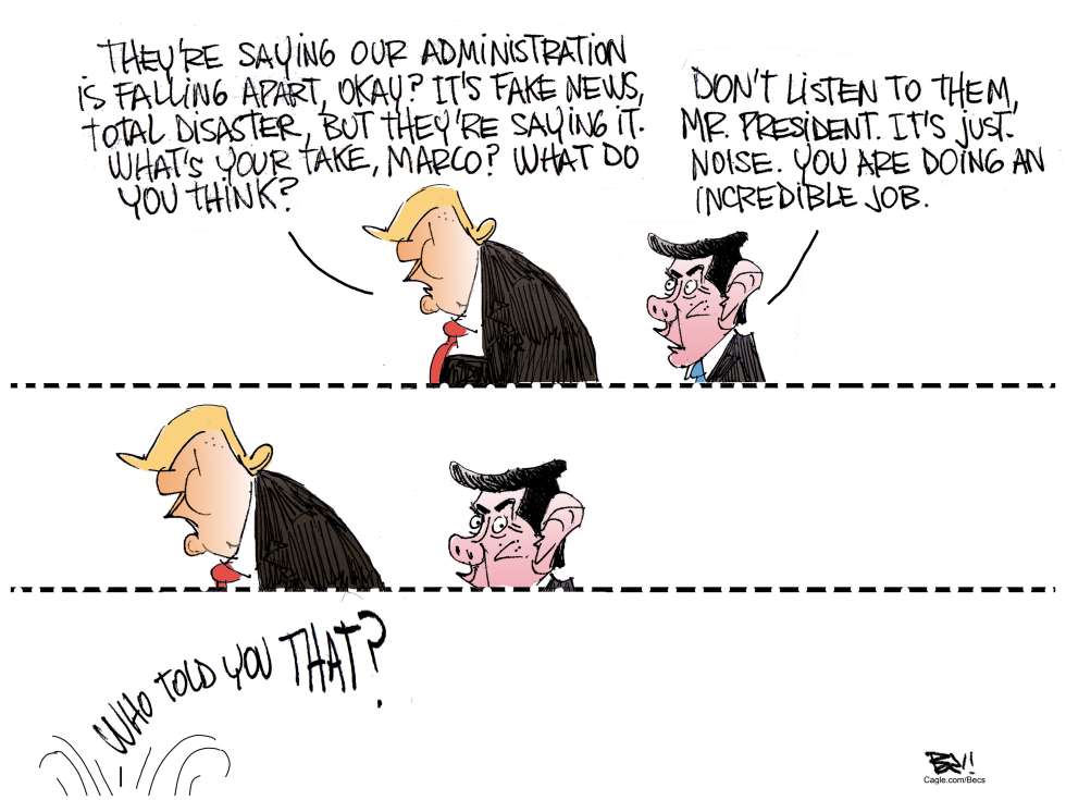 Trump Probes Rubio on Administration Reports