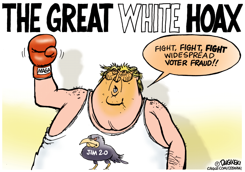 TRUMP'S VOTER FRAUD HOAX by Paul Duginski