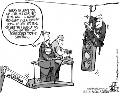 LOCAL FL STOP-LIGHT CAMERAS by Jeff Parker