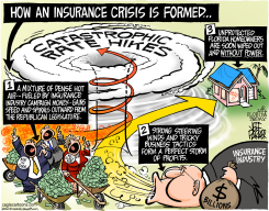 LOCAL FL INSURANCE STORM  by Jeff Parker