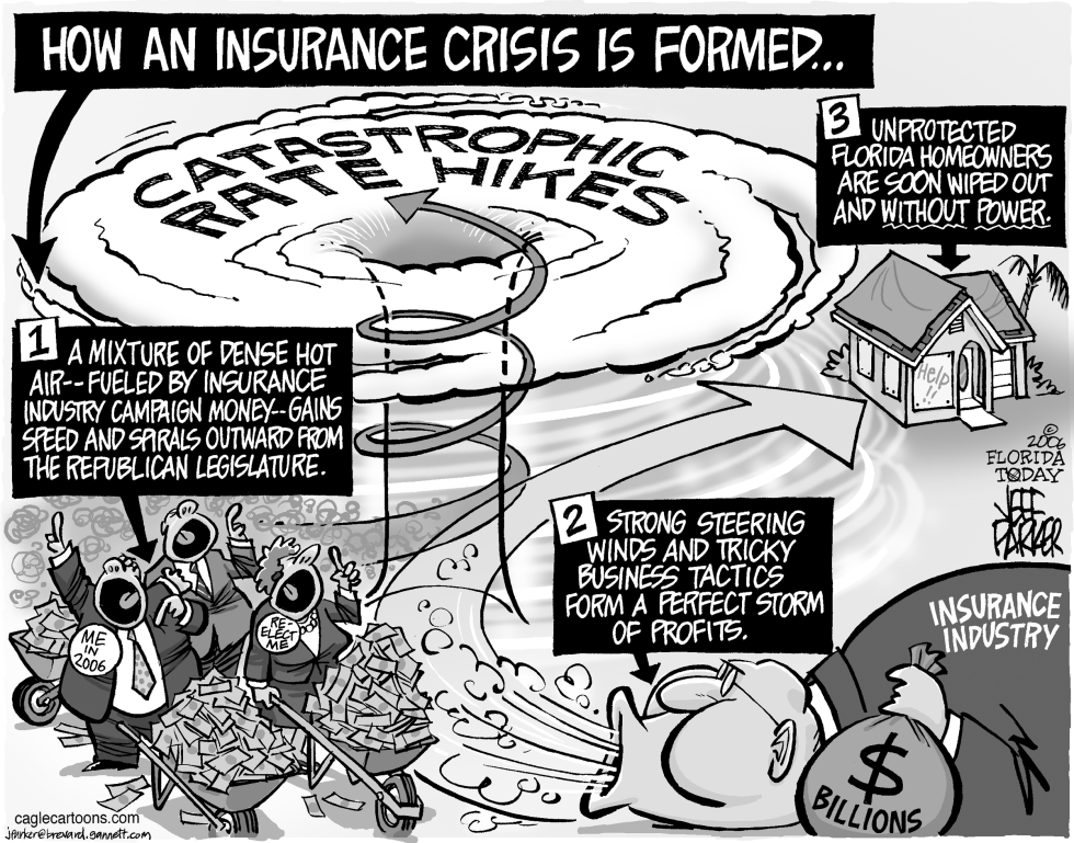 LOCAL FL Insurance Storm