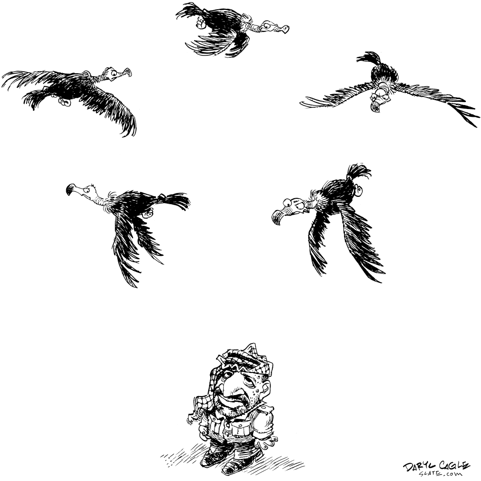 Arafatand Vultures