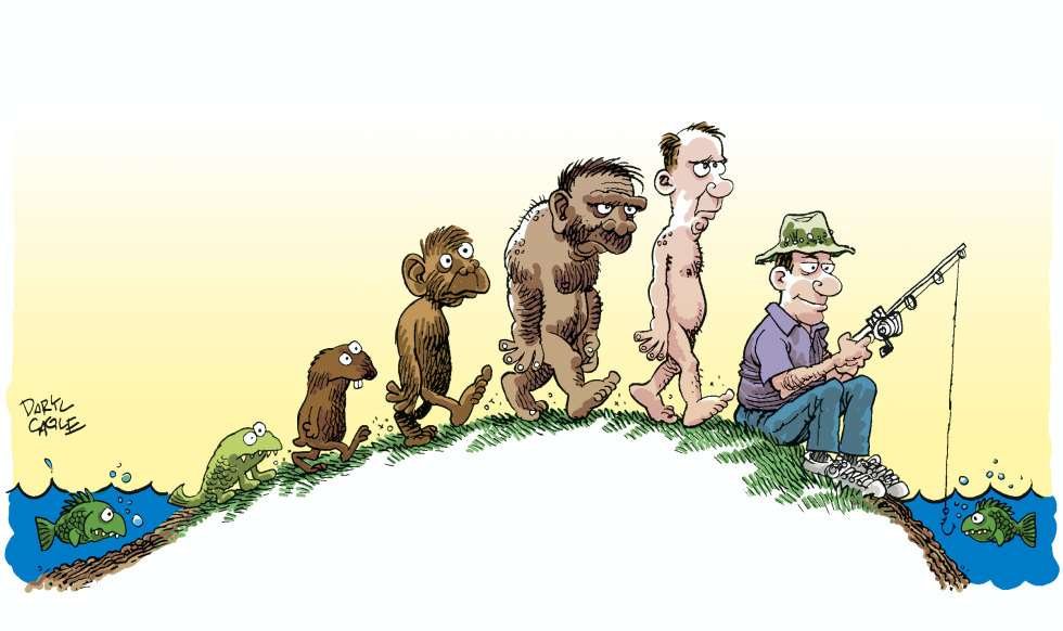 Evolution Fisherman Color