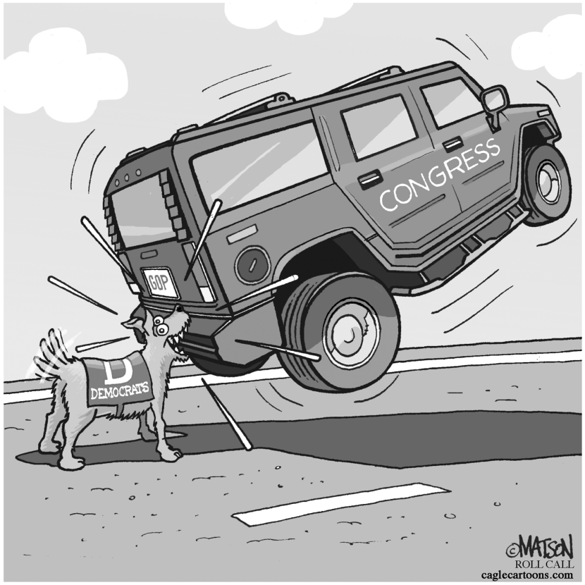 Dog Catches Car-GRAY