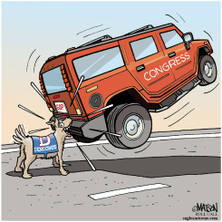DOG CATCHES CAR by R.J. Matson
